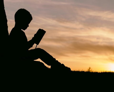 silhouette of child reading a book sitting against a tree